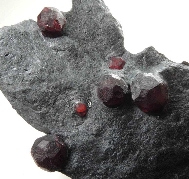 Almandine Garnet in Phyllite from Red Embers Mine, Erving, Franklin County, Massachusetts