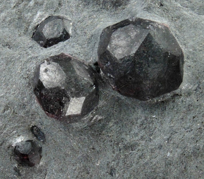 Almandine Garnet in Phyllite from Red Embers Mine, Erving, Franklin County, Massachusetts