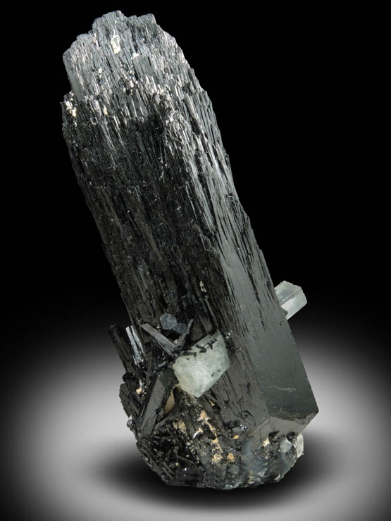 Schorl Tourmaline with Aquamarine Beryl from Erongo Mountains, 20 km north of Usakos, Damaraland, Namibia