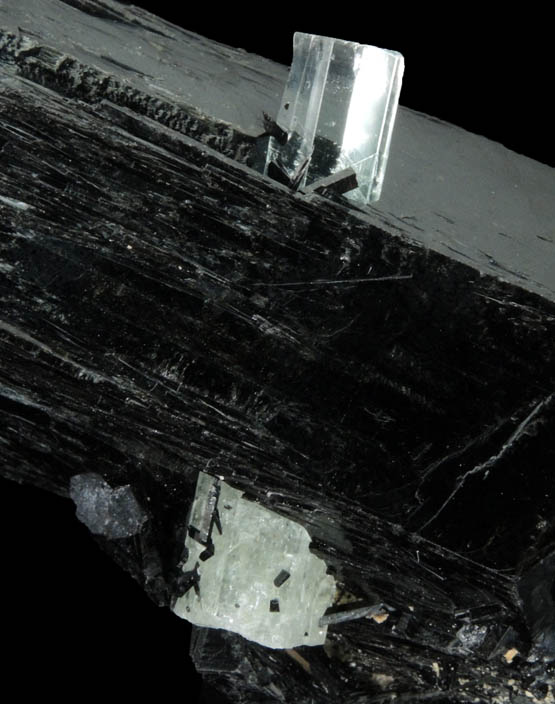 Schorl Tourmaline with Aquamarine Beryl from Erongo Mountains, 20 km north of Usakos, Damaraland, Namibia