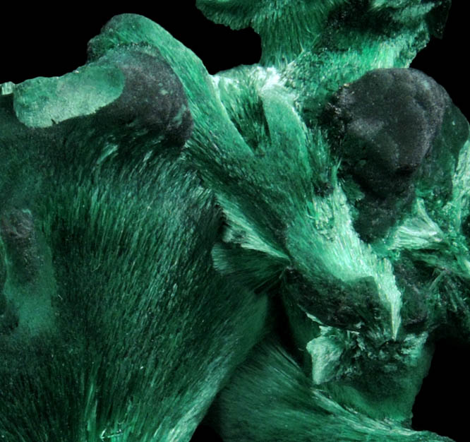 Malachite from L'Etoile du Congo Mine, Lubumbashi, Katanga Copperbelt, Haut-Katanga Province, Democratic Republic of the Congo