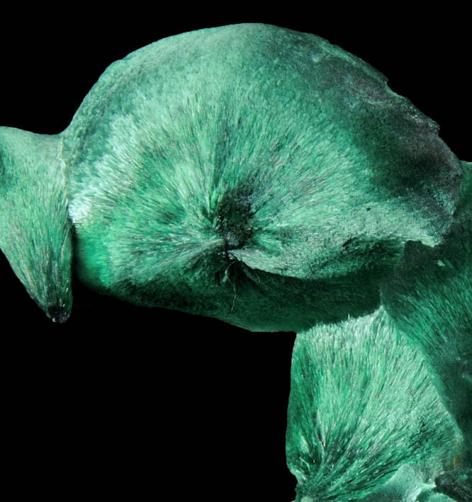 Malachite from L'Etoile du Congo Mine, Lubumbashi, Katanga Copperbelt, Haut-Katanga Province, Democratic Republic of the Congo