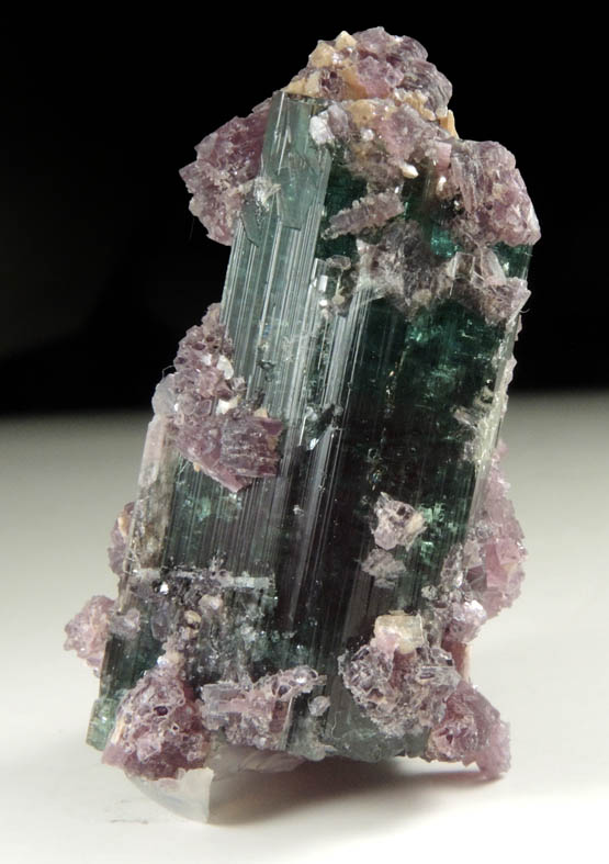 Elbaite Tourmaline with Lepidolite and Albite from Pederneira Mine, Sao Jose da Safira, Minas Gerais, Brazil