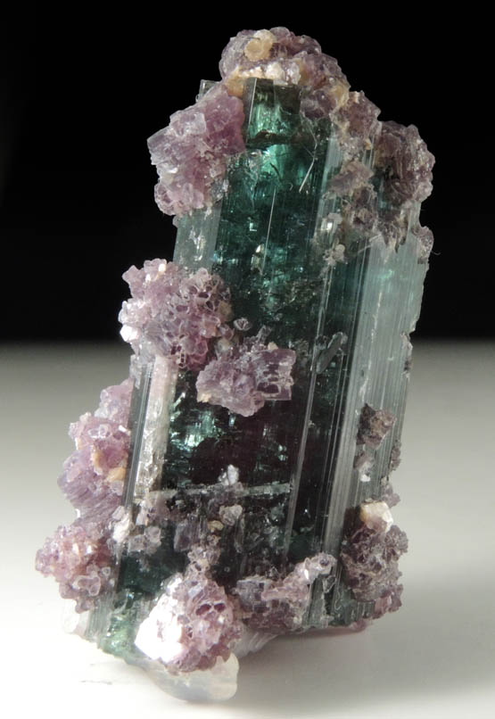 Elbaite Tourmaline with Lepidolite and Albite from Pederneira Mine, Sao Jose da Safira, Minas Gerais, Brazil