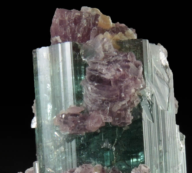 Elbaite Tourmaline with Lepidolite and Albite from Pederneira Mine, Sao Jose da Safira, Minas Gerais, Brazil