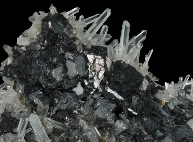 Sphalerite on Quartz with Pyrite from Huanzala Mine, Huallanca District, Huanuco Department, Peru