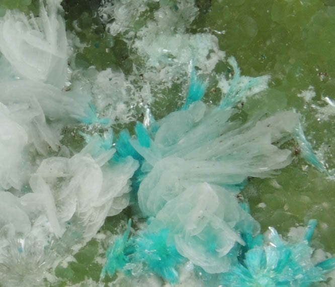 Calcite, Aurichalcite, Hemimorphite with Cu-rich Smithsonite from 79 Mine, Banner District, near Hayden, Gila County, Arizona