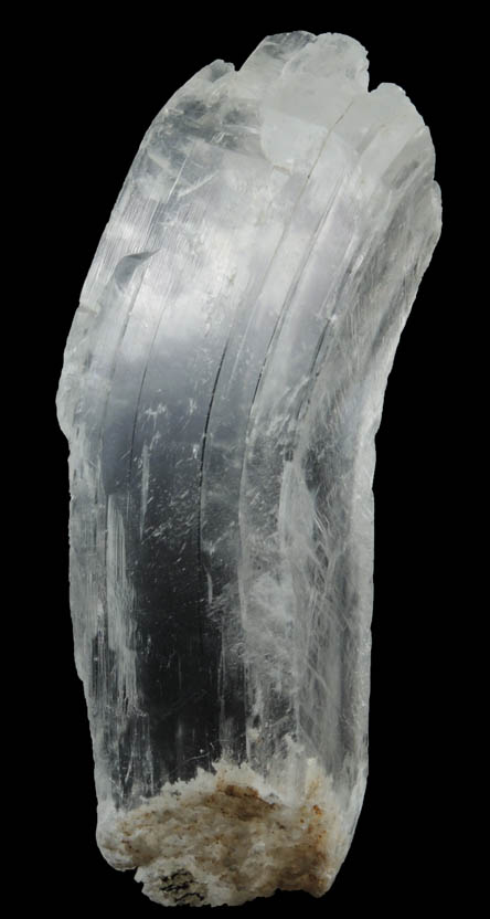 Gypsum var. Selenite (curved crystal) from Blue Diamond Mine, Arden District, Clark County, Nevada