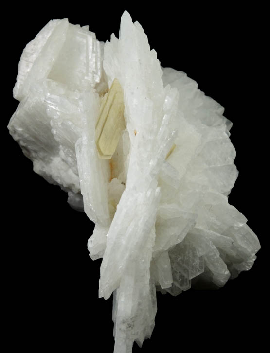 Albite var. Cleavelandite with Muscovite from Minas Gerais, Brazil