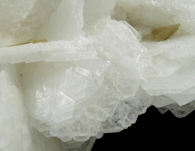 Albite var. Cleavelandite with Muscovite from Minas Gerais, Brazil