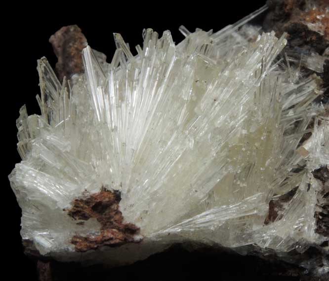 Scholzite with Cryptomelane from Reaphook Hill, Flinders Range, South Australia, Australia