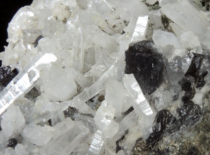 Hedenbergite with Quartz and Ilvaite from Campiglia Marittima, Livorno, Toscana, Italy