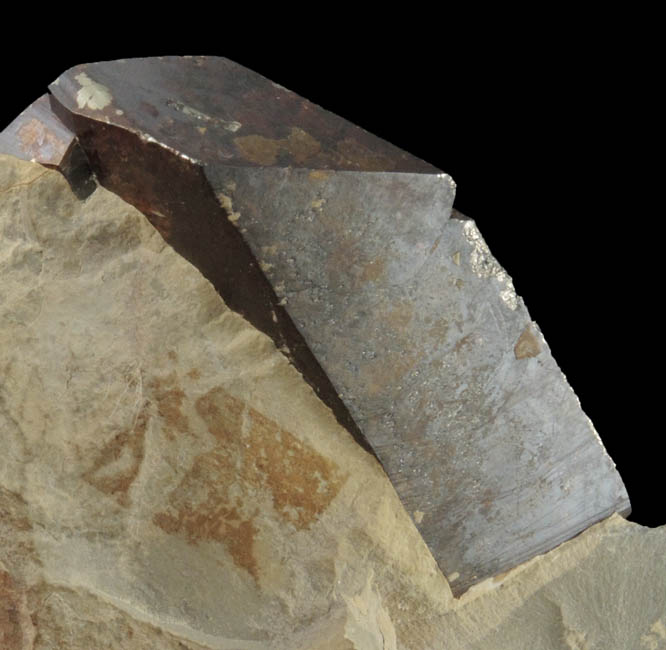 Pyrite (distorted crystals) with Goethite coating from Extertal, Ostwestfalen, Nordrhein-Westfalen, Germany
