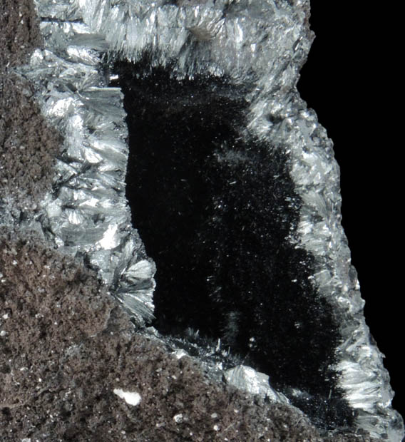 Psilomelane from Black Canyon Mine, Socorro County, New Mexico