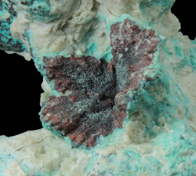 Copper coated with Chrysocolla-Malachite from Bisbee, Warren District, Cochise County, Arizona