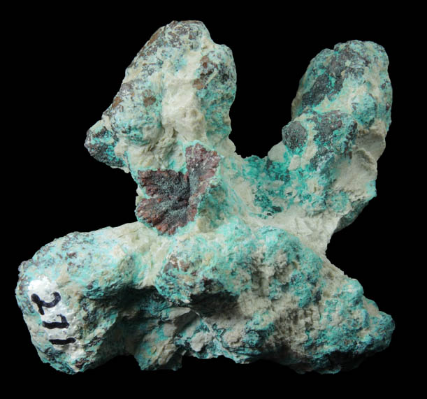 Copper coated with Chrysocolla-Malachite from Bisbee, Warren District, Cochise County, Arizona