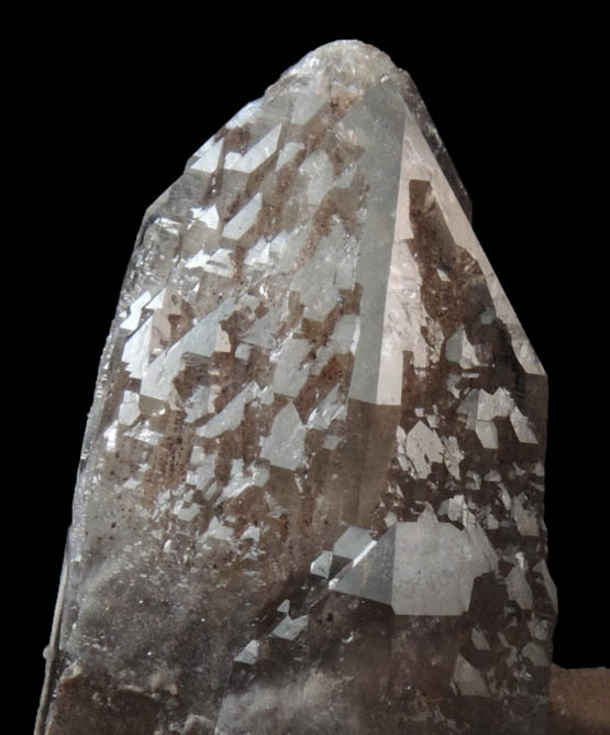 Quartz var. Smoky Quartz (Skeletal Crystal) from Minas Gerais, Brazil