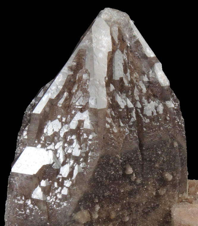 Quartz var. Smoky Quartz (Skeletal Crystal) from Minas Gerais, Brazil