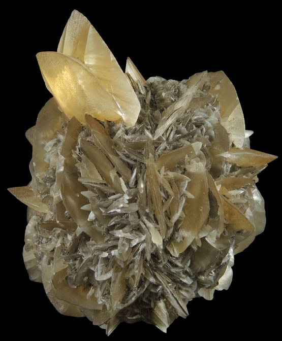 Gypsum from Red River Floodway, Winnipeg, Manitoba, Canada