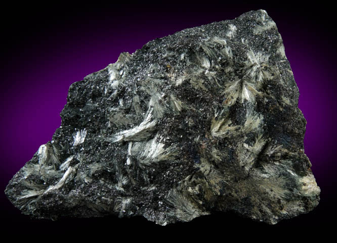 Gruenerite in Magnetite from Michigamme Mine, Marquette County, Michigan
