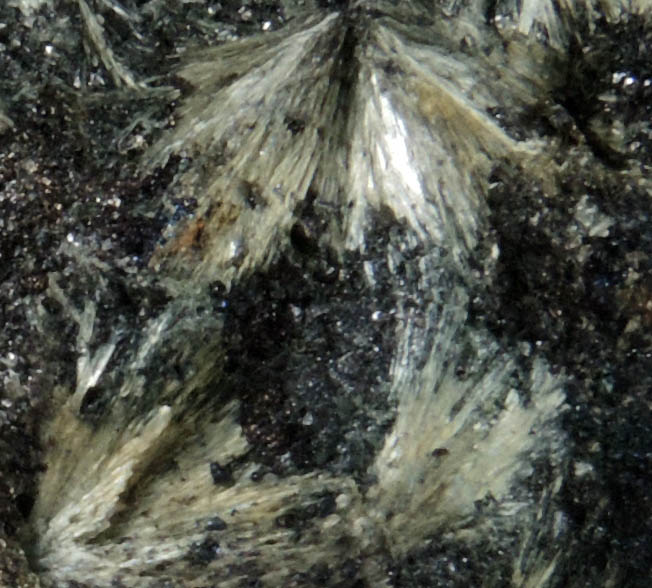 Gruenerite in Magnetite from Michigamme Mine, Marquette County, Michigan