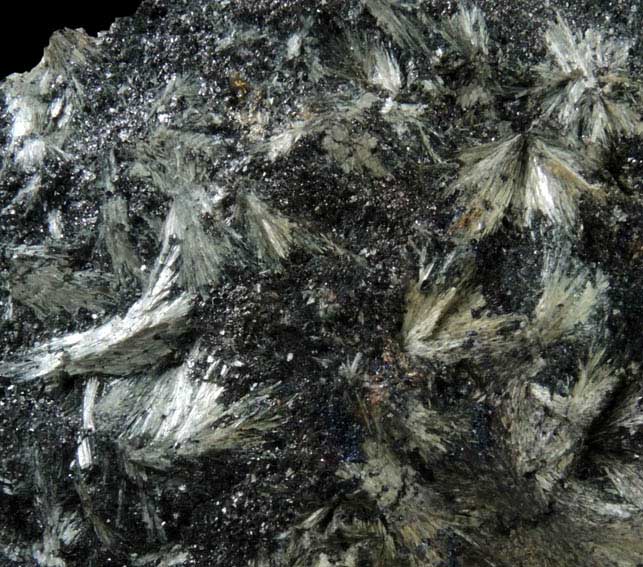 Gruenerite in Magnetite from Michigamme Mine, Marquette County, Michigan