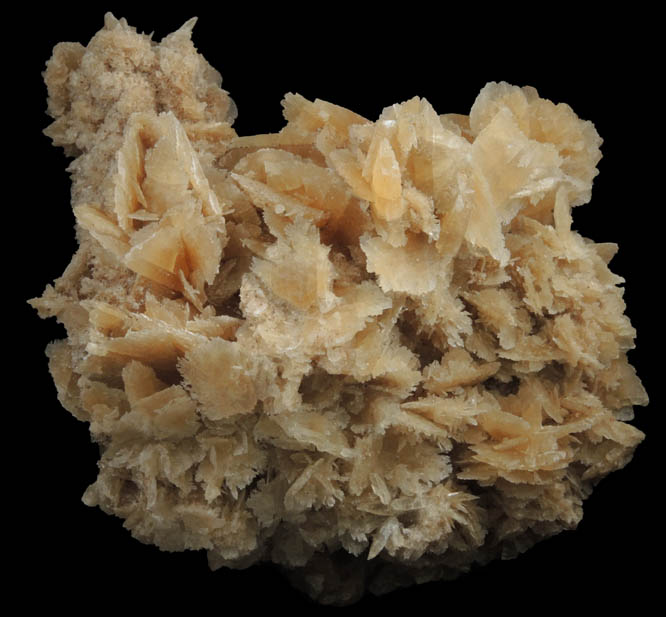 Gypsum var. Desert Rose from Death Valley Playa, Inyo County, California