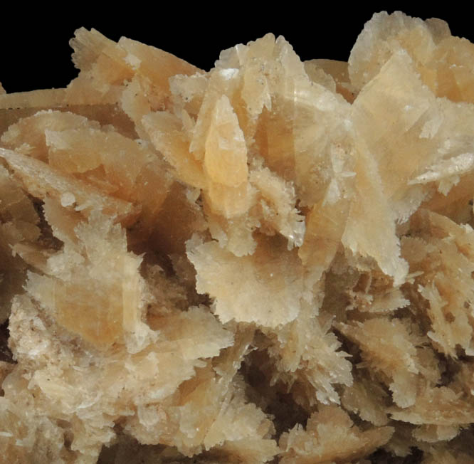 Gypsum var. Desert Rose from Death Valley Playa, Inyo County, California