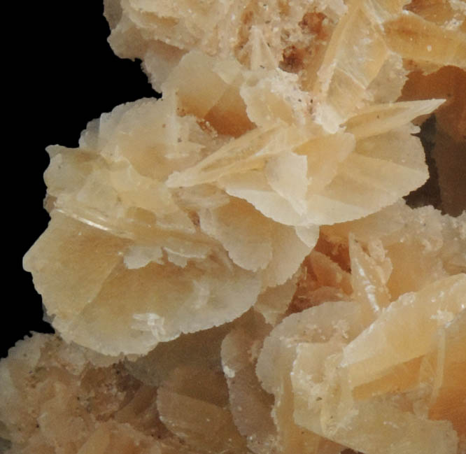 Gypsum var. Desert Rose from Death Valley Playa, Inyo County, California