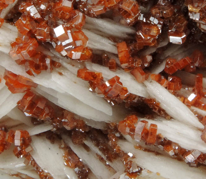 Vanadinite on Barite from Mibladen, Haute Moulouya Basin, Zeida-Aouli-Mibladen belt, Midelt Province, Morocco