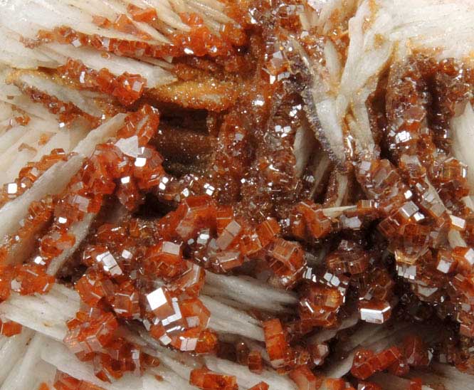 Vanadinite on Barite from Mibladen, Haute Moulouya Basin, Zeida-Aouli-Mibladen belt, Midelt Province, Morocco