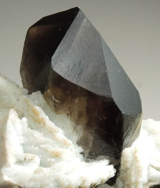Quartz var. Smoky Quartz (Dauphiné Law Twins), Microcline, Albite from Government Pit, south of Moat Mountain, Albany, Carroll County, New Hampshire