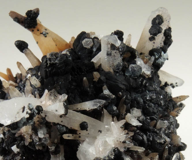 Heterogenite on Quartz with Calcite from Santa Eulalia District, Aquiles Serdn, Chihuahua, Mexico