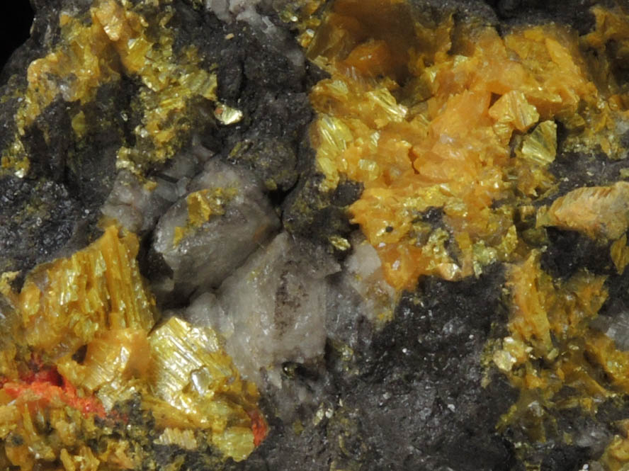 Orpiment from Getchell Mine, Humboldt County, Nevada