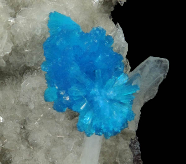 Cavansite on Stilbite-Ca from Wagholi Quarry, Maharashtra, India