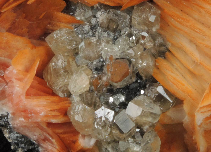 Barite and Cerussite on Galena from Mibladen, Haute Moulouya Basin, Zeida-Aouli-Mibladen belt, Midelt Province, Morocco