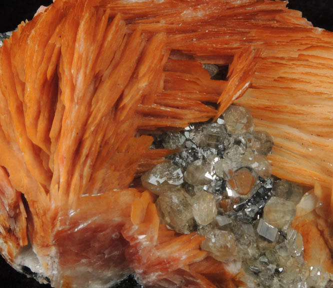 Barite and Cerussite on Galena from Mibladen, Haute Moulouya Basin, Zeida-Aouli-Mibladen belt, Midelt Province, Morocco
