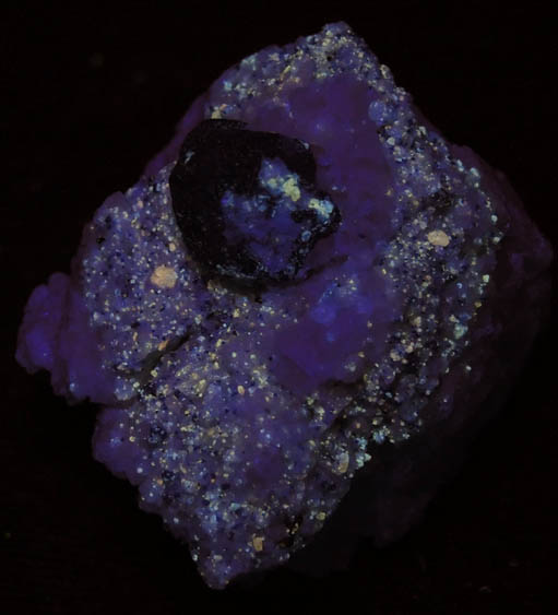 Lazurite var. Lapis Lazuli from Sar-e-Sang, Kokscha Valley, Badakshan, Afghanistan (Type Locality for Lazurite)