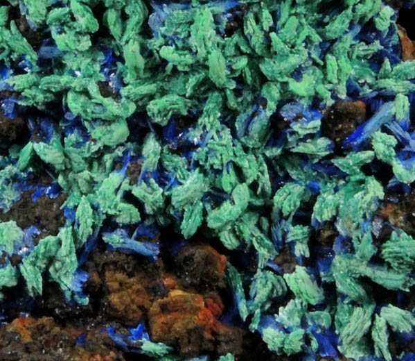Azurite with Malachite pseudomorphs after Azurite from M'Ssici, Tinghir, Souss-Massa-Dra, Morocco