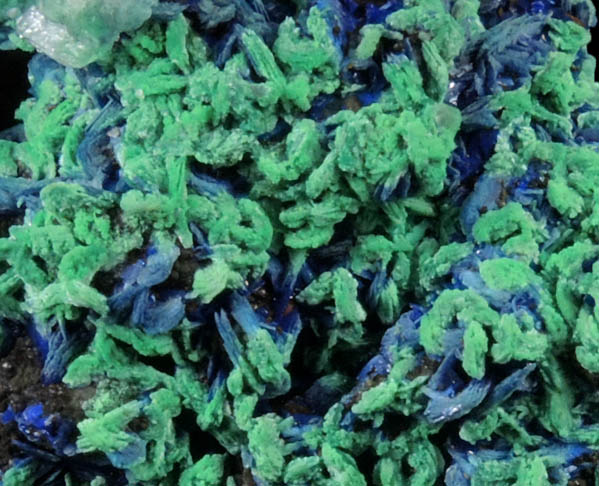 Azurite with Malachite pseudomorphs after Azurite from M'Ssici, Tinghir, Souss-Massa-Dra, Morocco