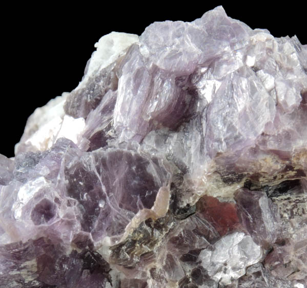 Lepidolite with Albite var. Cleavelandite from Dunton Quarry, Plumbago Mountain, Hall's Ridge, Newry, Oxford County, Maine