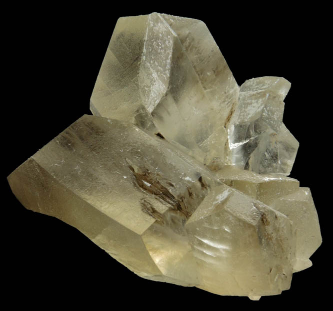 Gypsum var. Selenite from Red River Floodway, Winnipeg, Manitoba, Canada