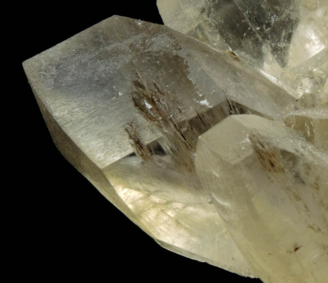 Gypsum var. Selenite from Red River Floodway, Winnipeg, Manitoba, Canada