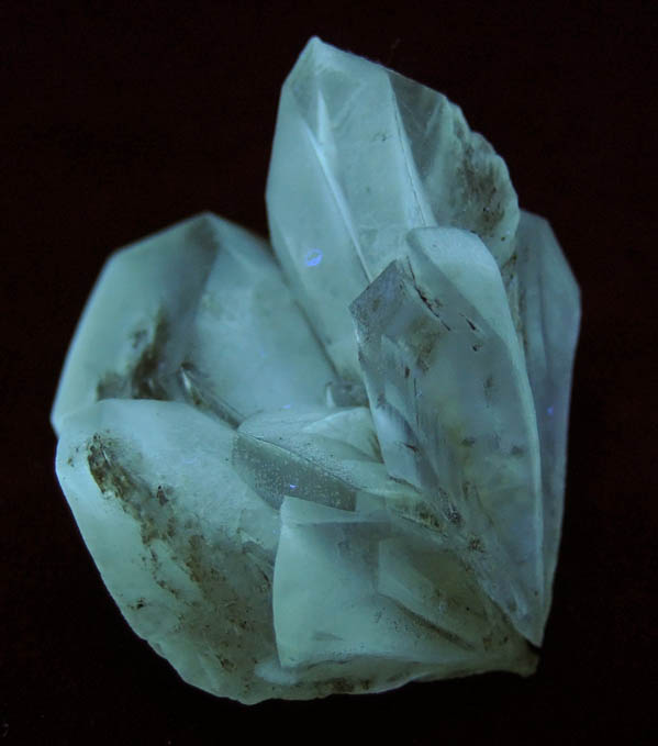 Gypsum var. Selenite from Red River Floodway, Winnipeg, Manitoba, Canada