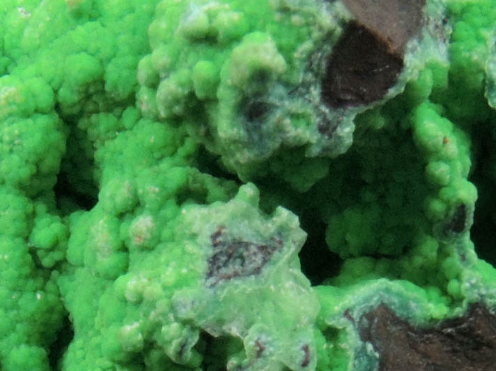 Conichalcite with Adamite var. Cuprian Adamite from Mina Ojuela, Mapimi, Durango, Mexico