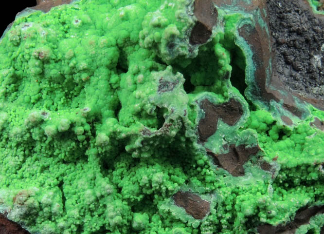 Conichalcite with Adamite var. Cuprian Adamite from Mina Ojuela, Mapimi, Durango, Mexico