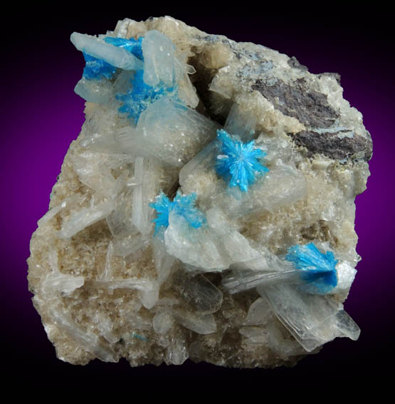 Cavansite on Stilbite-Ca from Wagholi Quarry, Maharashtra, India