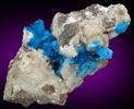 Cavansite on Stilbite-Ca from Wagholi Quarry, Maharashtra, India