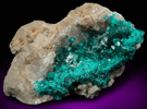 Dioptase on Calcite from Altyn-Tyube, 66 km east of Karagandy, Karaganda Oblast', Kazakhstan (Type Locality for Dioptase)