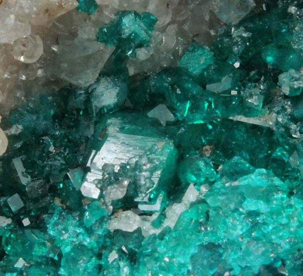 Dioptase on Calcite from Altyn-Tyube, 66 km east of Karagandy, Karaganda Oblast', Kazakhstan (Type Locality for Dioptase)